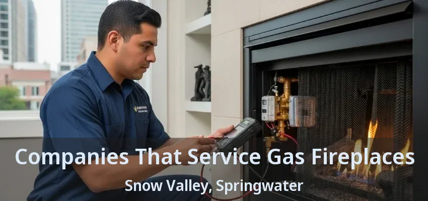 Companies That Service Gas Fireplaces Snow Valley, Springwater - ON