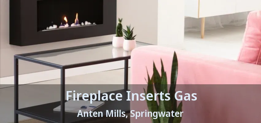 Fireplace Inserts Gas Anten Mills, Springwater - ON
