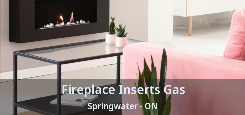 Fireplace Inserts Gas Springwater - ON Fireplace Inserts Gas Springwater - ON