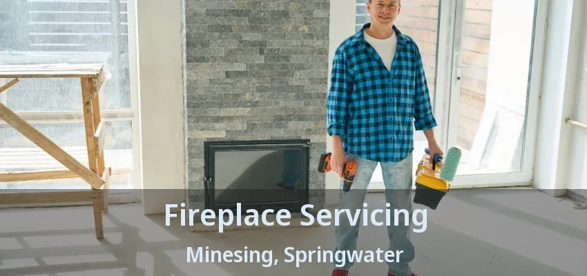 Fireplace Servicing Minesing, Springwater - ON Fireplace Servicing Minesing, Springwater - ON
