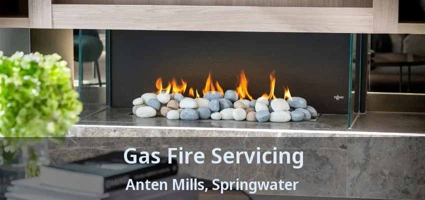 Gas Fire Servicing Anten Mills, Springwater - ON