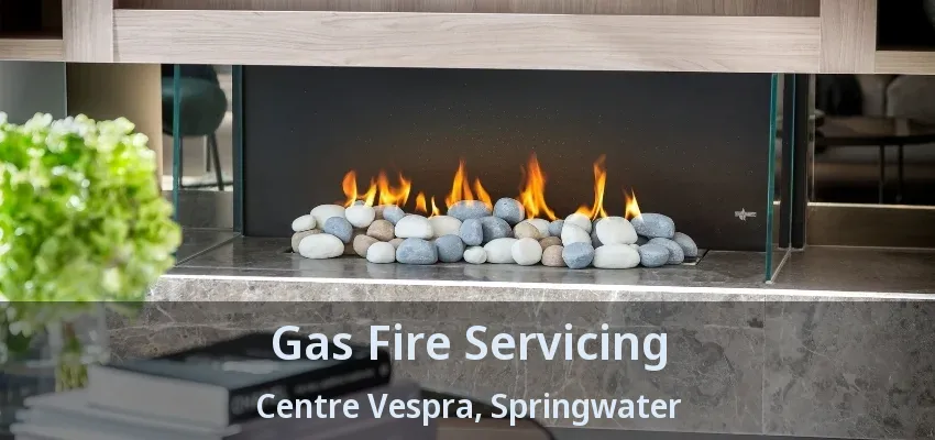 Gas Fire Servicing Centre Vespra, Springwater - ON