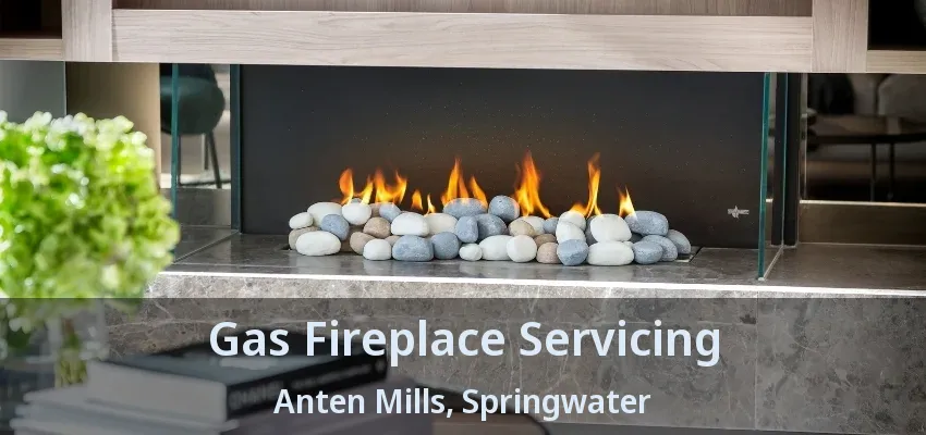 Gas Fireplace Servicing Anten Mills, Springwater - ON