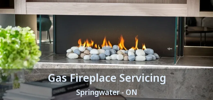 Gas Fireplace Servicing Springwater - ON Gas Fireplace Servicing Springwater - ON