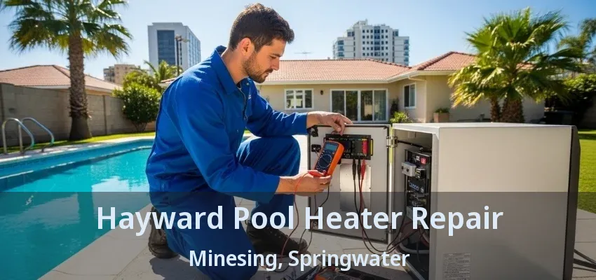 Hayward Pool Heater Repair Minesing, Springwater - ON Hayward Pool Heater Repair Minesing, Springwater - ON