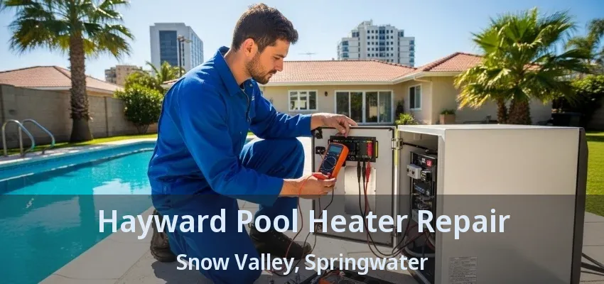 Hayward Pool Heater Repair Snow Valley, Springwater - ON Hayward Pool Heater Repair Snow Valley, Springwater - ON