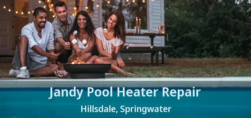 Jandy Pool Heater Repair Hillsdale, Springwater - ON Jandy Pool Heater Repair Hillsdale, Springwater - ON