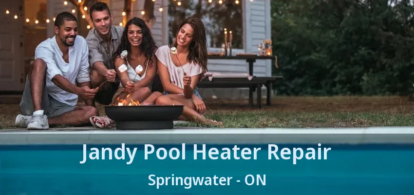 Jandy Pool Heater Repair Springwater - ON Jandy Pool Heater Repair Springwater - ON
