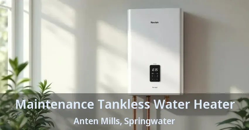 Maintenance Tankless Water Heater Anten Mills, Springwater - ON Maintenance Tankless Water Heater Anten Mills, Springwater - ON