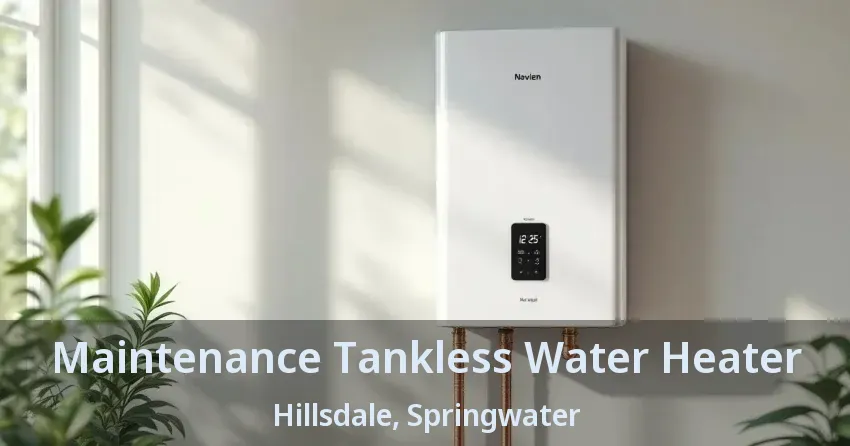 Maintenance Tankless Water Heater Hillsdale, Springwater - ON Maintenance Tankless Water Heater Hillsdale, Springwater - ON