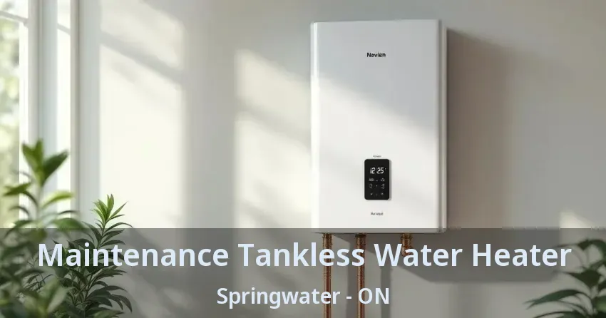 Maintenance Tankless Water Heater Springwater - ON Maintenance Tankless Water Heater Springwater - ON