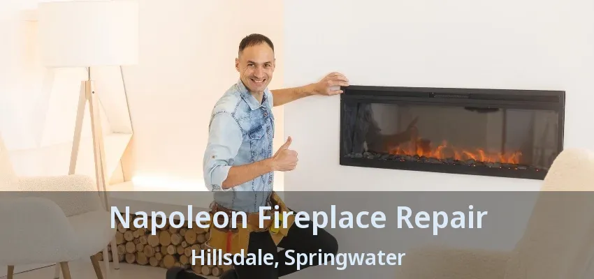 Napoleon Fireplace Repair Hillsdale, Springwater - ON Napoleon Fireplace Repair Hillsdale, Springwater - ON