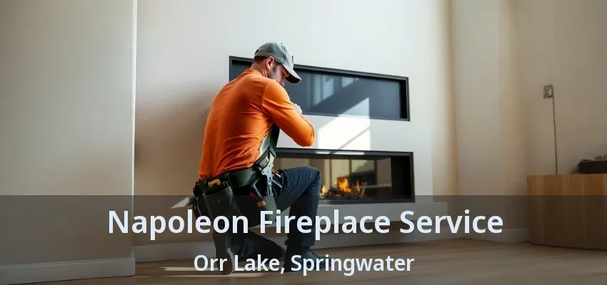 Napoleon Fireplace Service Orr Lake, Springwater - ON Napoleon Fireplace Service Orr Lake, Springwater - ON