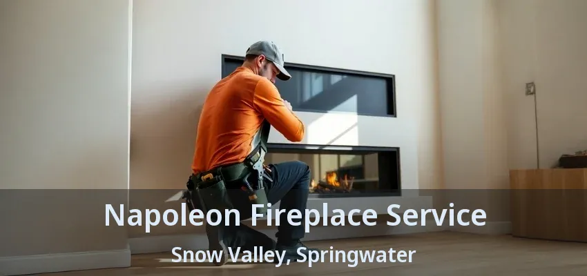 Napoleon Fireplace Service Snow Valley, Springwater - ON Napoleon Fireplace Service Snow Valley, Springwater - ON