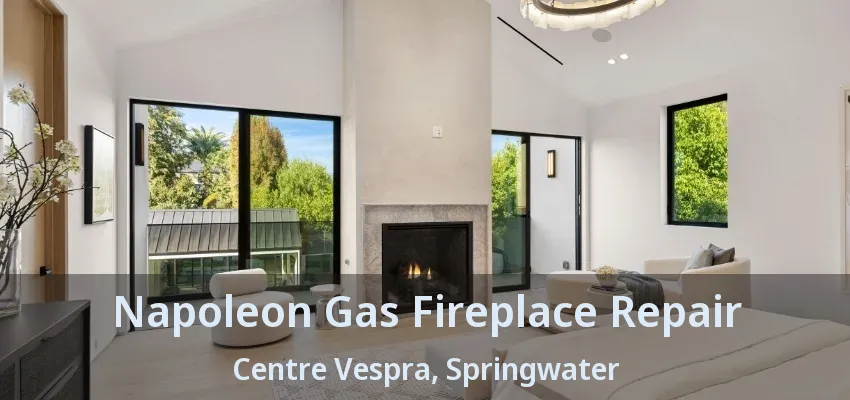 Napoleon Gas Fireplace Repair Centre Vespra, Springwater - ON Napoleon Gas Fireplace Repair Centre Vespra, Springwater - ON