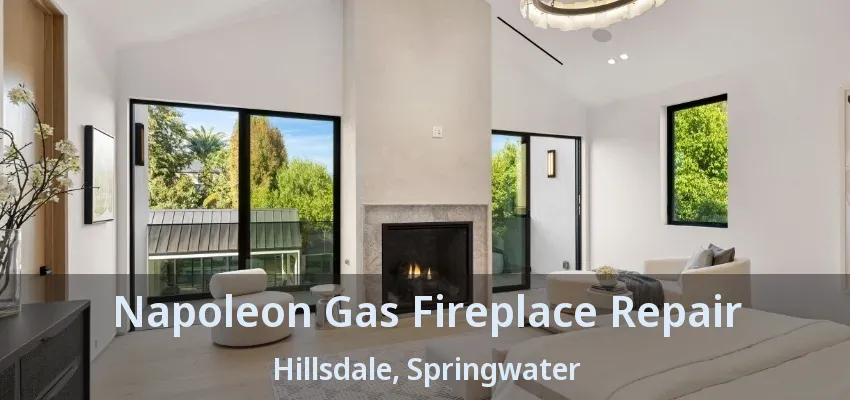 Napoleon Gas Fireplace Repair Hillsdale, Springwater - ON Napoleon Gas Fireplace Repair Hillsdale, Springwater - ON