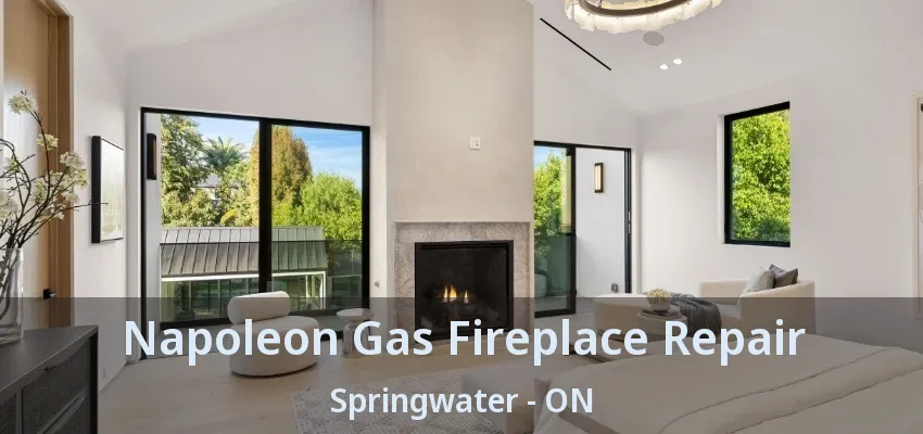Napoleon Gas Fireplace Repair Springwater - ON Napoleon Gas Fireplace Repair Springwater - ON