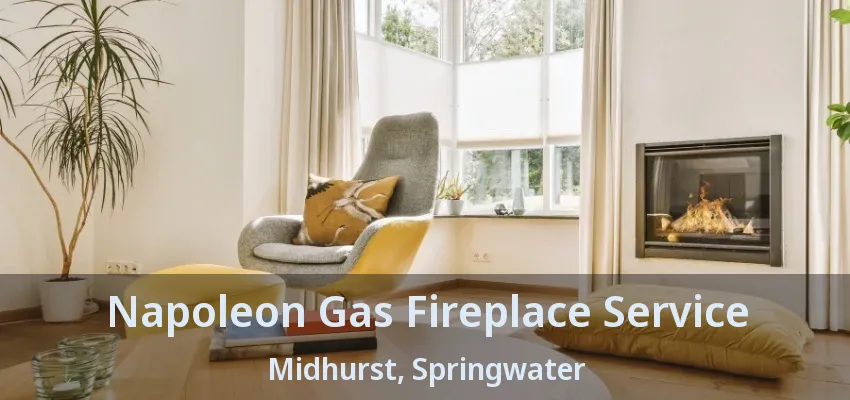 Napoleon Gas Fireplace Service Midhurst, Springwater - ON Napoleon Gas Fireplace Service Midhurst, Springwater - ON