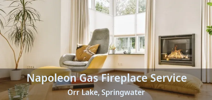Napoleon Gas Fireplace Service Orr Lake, Springwater - ON Napoleon Gas Fireplace Service Orr Lake, Springwater - ON