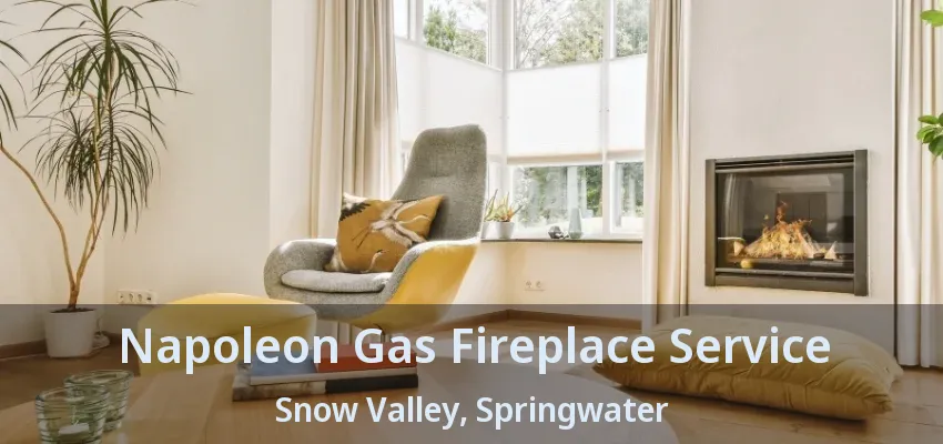 Napoleon Gas Fireplace Service Snow Valley, Springwater - ON Napoleon Gas Fireplace Service Snow Valley, Springwater - ON
