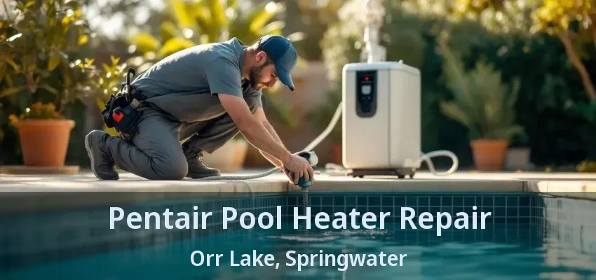 Pentair Pool Heater Repair Orr Lake, Springwater - ON