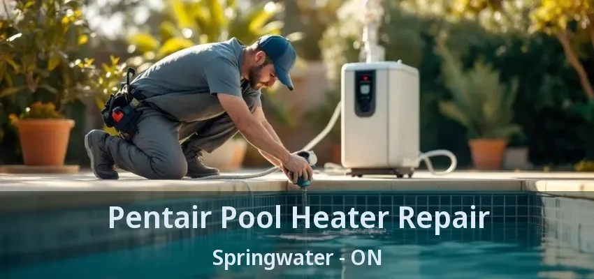 Pentair Pool Heater Repair Springwater - ON Pentair Pool Heater Repair Springwater - ON