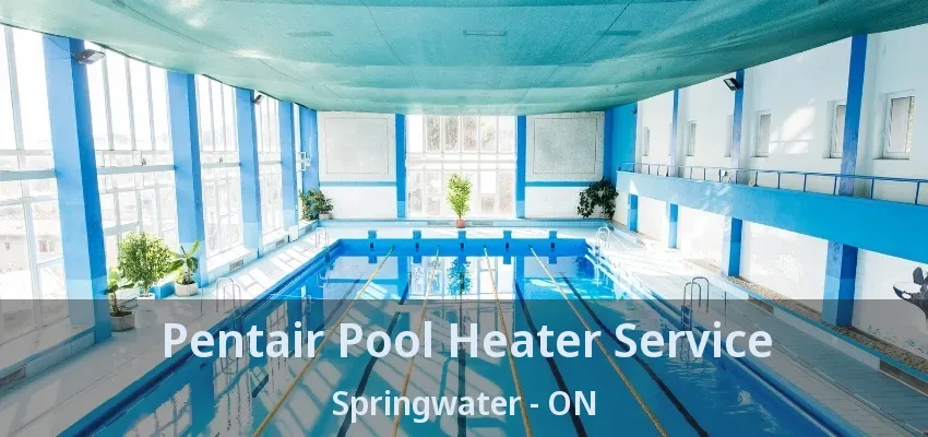 Pentair Pool Heater Service Springwater - ON Pentair Pool Heater Service Springwater - ON