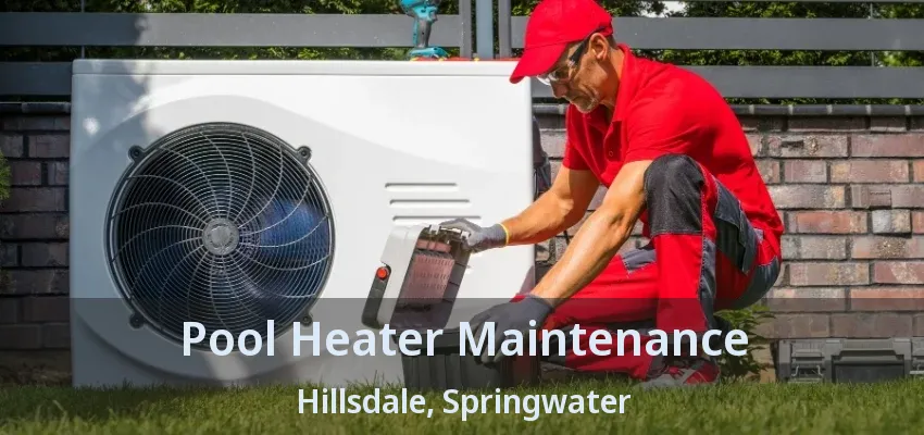 Pool Heater Maintenance Hillsdale, Springwater - ON Pool Heater Maintenance Hillsdale, Springwater - ON