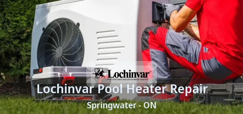 Lochinvar Pool Heater Repair Springwater - ON Lochinvar Pool Heater Repair Springwater - ON