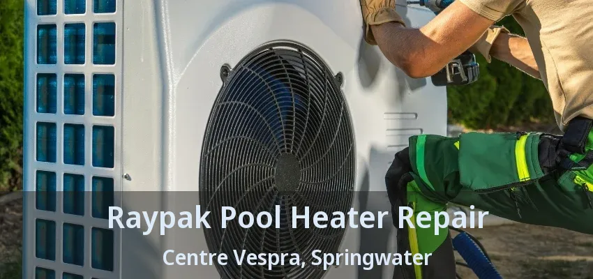 Raypak Pool Heater Repair Centre Vespra, Springwater - ON