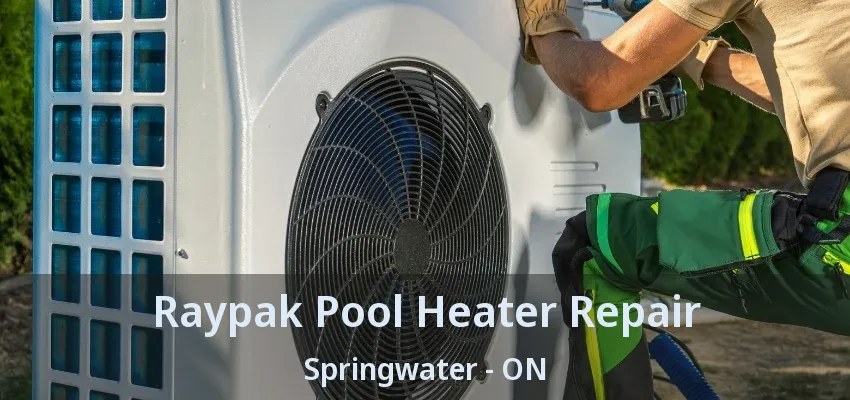 Raypak Pool Heater Repair Springwater - ON Raypak Pool Heater Repair Springwater - ON