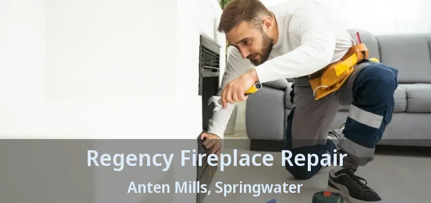 Regency Fireplace Repair Anten Mills, Springwater - ON