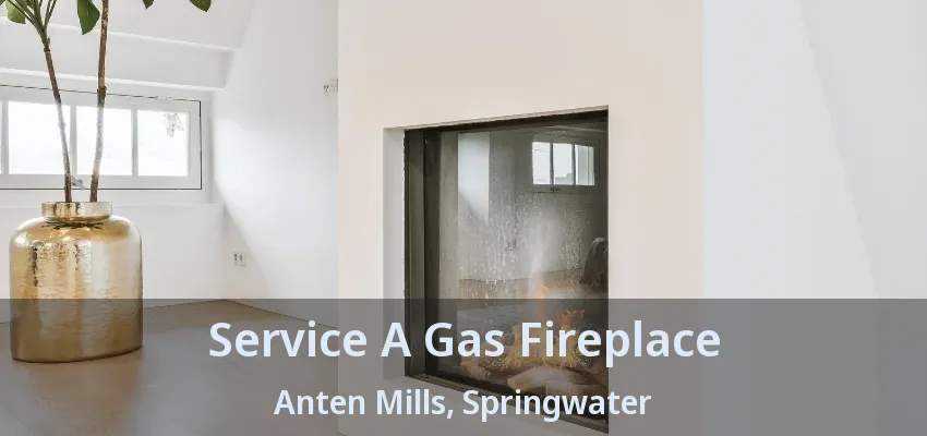 Service A Gas Fireplace Anten Mills, Springwater - ON