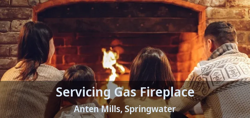 Servicing Gas Fireplace Anten Mills, Springwater - ON