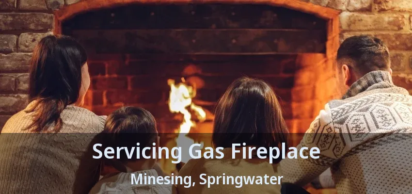 Servicing Gas Fireplace Minesing, Springwater - ON Servicing Gas Fireplace Minesing, Springwater - ON