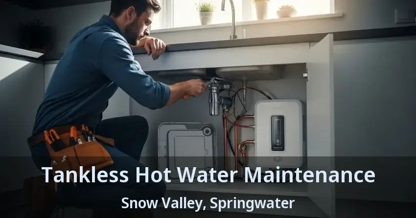 Tankless Hot Water Maintenance Snow Valley, Springwater - ON Tankless Hot Water Maintenance Snow Valley, Springwater - ON