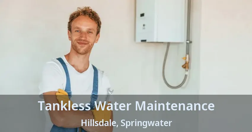 Tankless Water Maintenance Hillsdale, Springwater - ON Tankless Water Maintenance Hillsdale, Springwater - ON