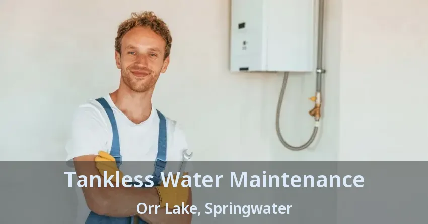 Tankless Water Maintenance Orr Lake, Springwater - ON Tankless Water Maintenance Orr Lake, Springwater - ON
