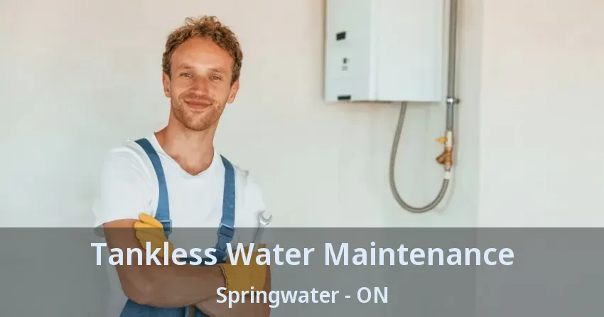 Tankless Water Maintenance Springwater - ON Tankless Water Maintenance Springwater - ON