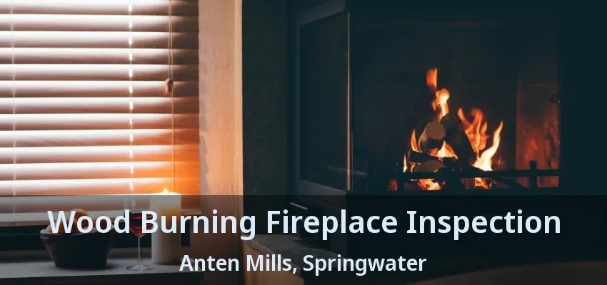 Wood Burning Fireplace Inspection Anten Mills, Springwater - ON Wood Burning Fireplace Inspection Anten Mills, Springwater - ON